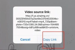分享iphone/ipad下载微博、推特视频的方法