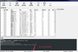 v2rayN-Core出现http代理端口为0(127.0.0.1:0)如何修复?|v2ray机场教程