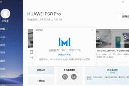 关于华为华为(HUAWEI)MateBook/荣耀笔记本电脑MagicBook无法使用翻墙软件的解决方案