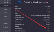 2023|Windows客户端Clash.for.Windows-0.19.29-win配置图文教程